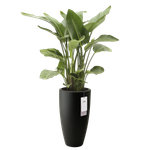 june round high 30cm schwarz